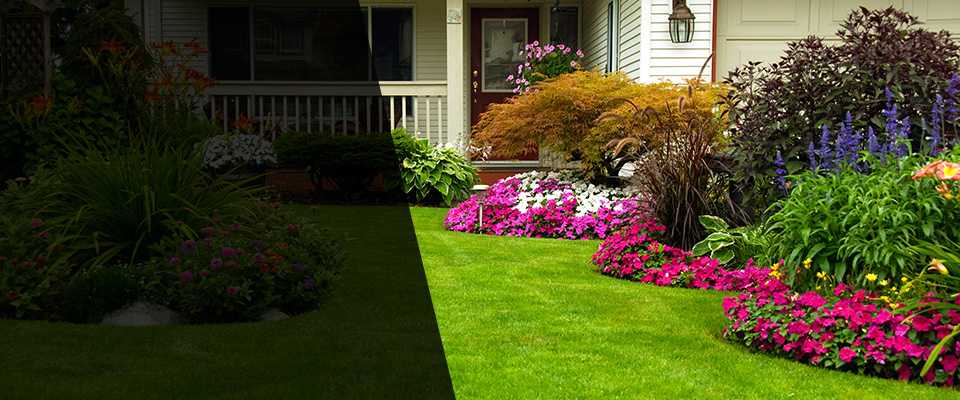 Camby Landscapers