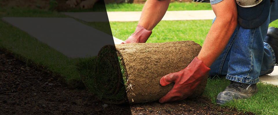 Camby Landscapers